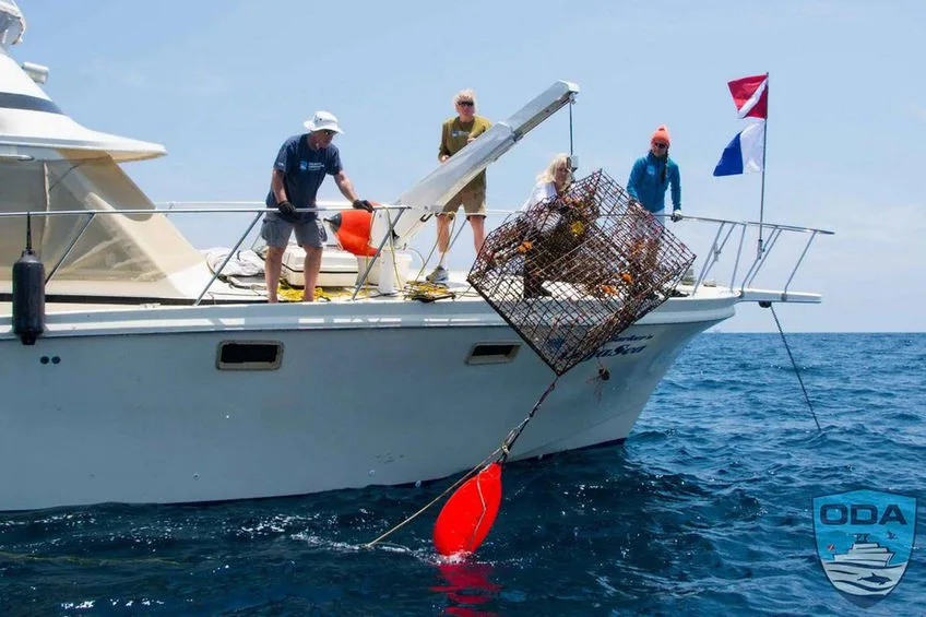 Quatre personnes sur un bateau, manipulant un casier dans l'eau