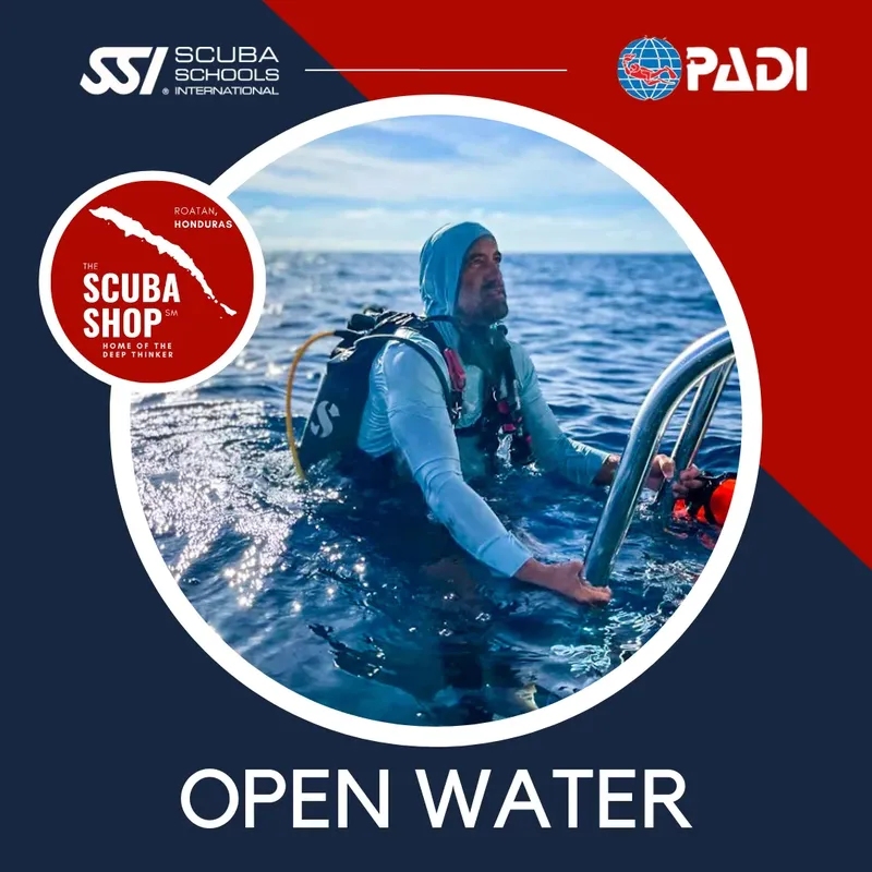 Plongeur équipé sort de l'eau avec un fond marin bleu
