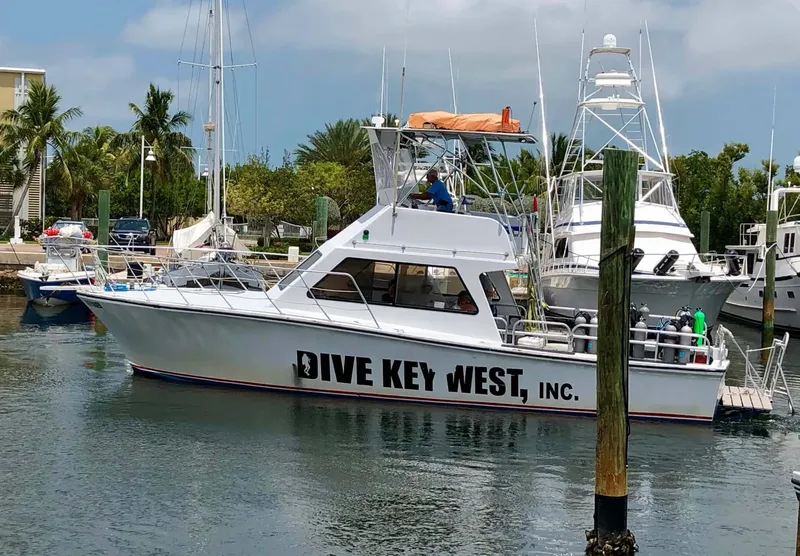 Bateau de plongée amarré dans un port ensoleillé avec des passagers