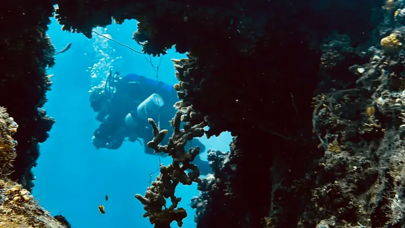 Plongeurs explorant une grotte sous-marine avec une lumière bleutée