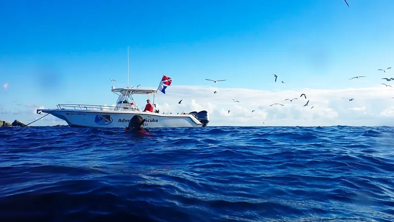 Bateau de plongée en mer avec des passagers et des oiseaux volants