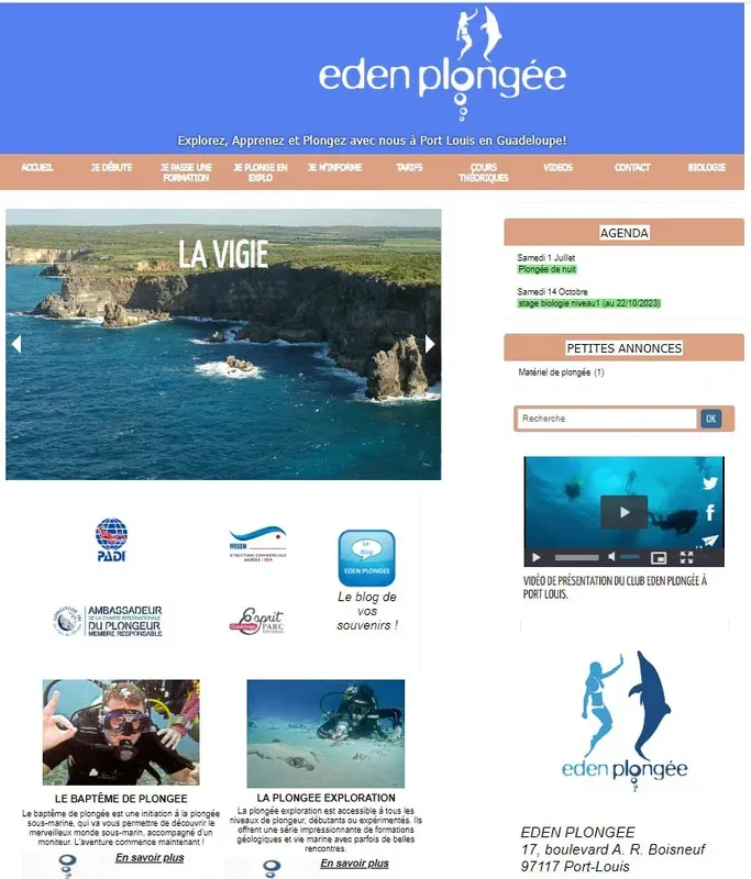 Poissons tropicaux colorés nageant autour d'un récifal corallien en mer