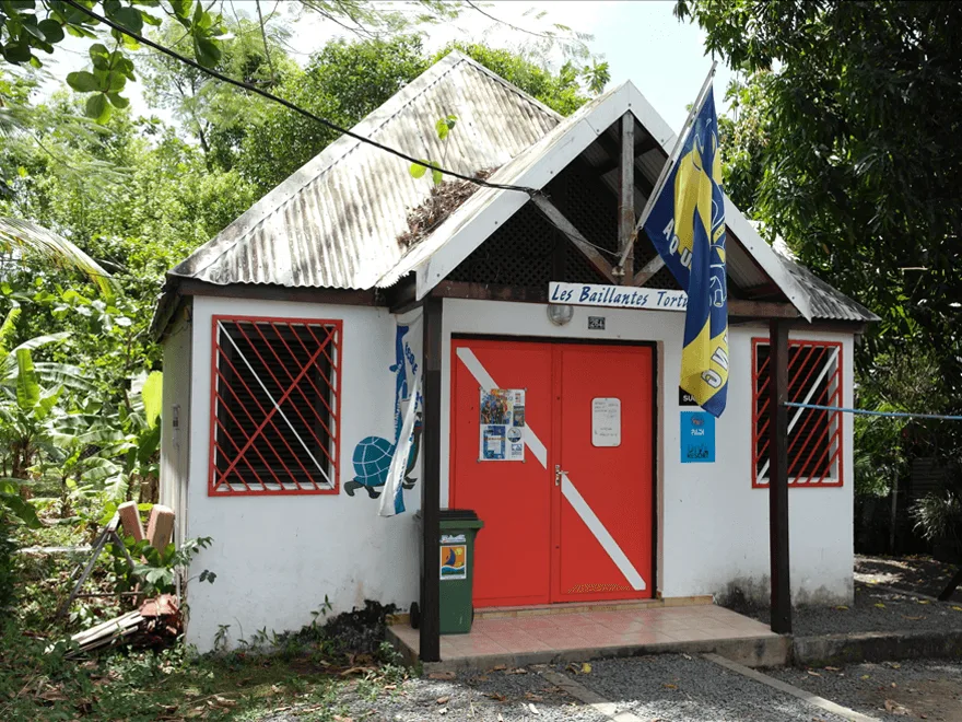 Petite construction en bois avec une porte rouge et des affiches de plongée