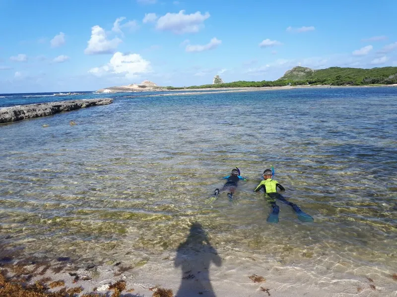 Deux personnes en combinaison de plongée explorent une eau turquoise claire