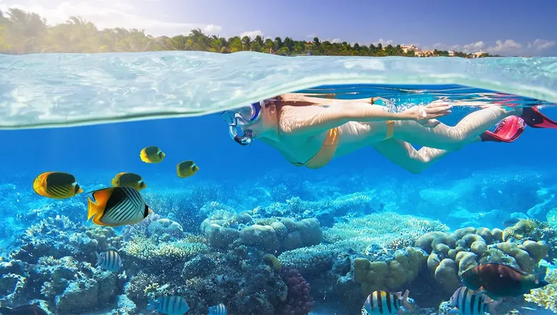 Snorkeleuse nageant au-dessus d'un récif corallien coloré avec des poissons tropicaux