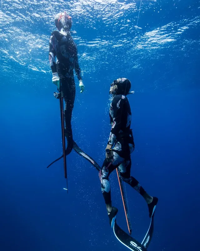 Deux apnéistes en combinaison, palmés, évoluent dans l'eau bleue