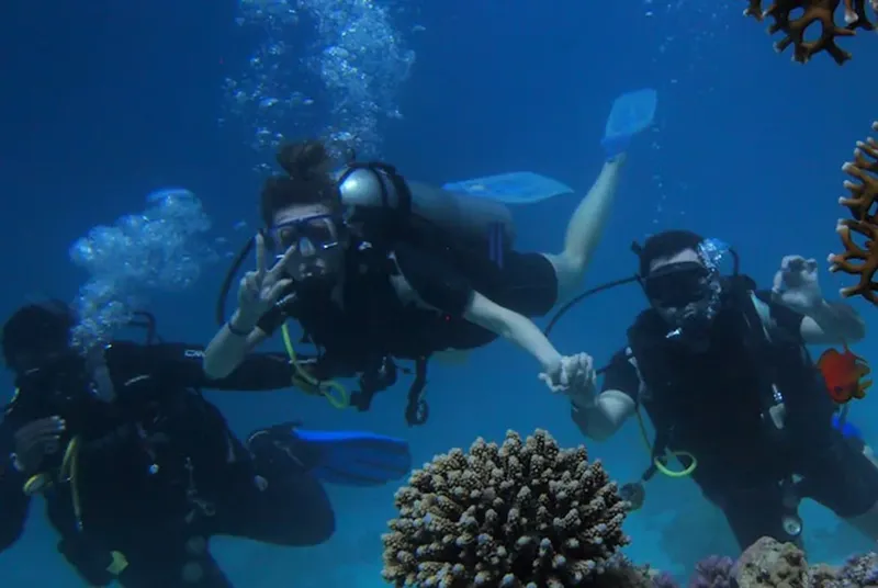 Trois plongeurs en combinaison explorent un récif corallien bleu