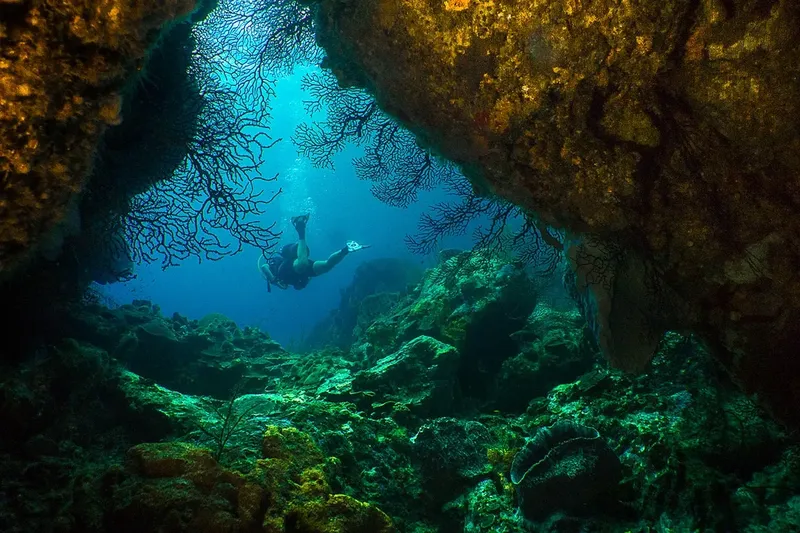 Plongeur explore une grotte sous-marine avec coraux et lumière filtrée