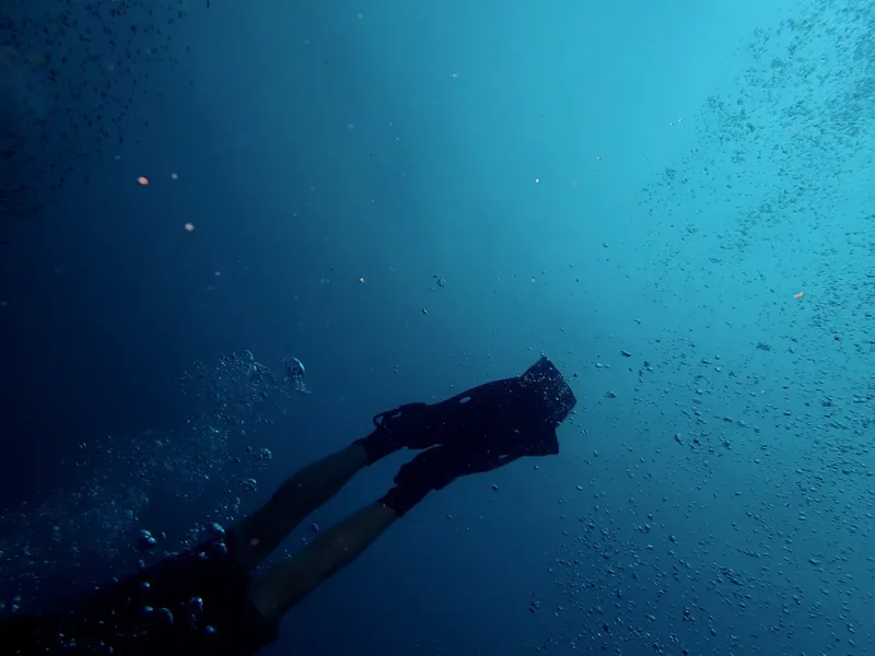 Pieds palmés d'un plongeur dans l'eau bleue avec des bulles