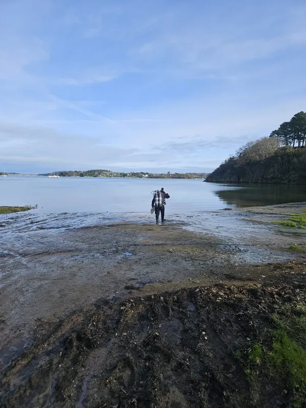 Une personne se tient dans l'eau sur une plage boueuse