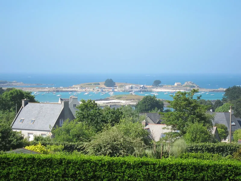 Vue d'une côte avec des maisons, des arbres et des bateaux en mer