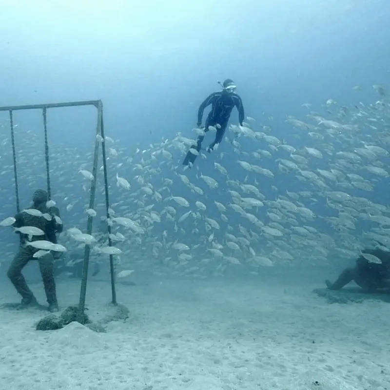Plongeurs évoluent au milieu d'un banc de poissons argentés