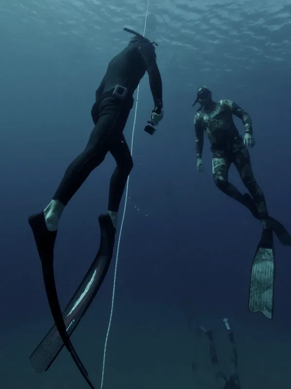 Deux apnéistes en combinaison plongent dans une eau bleue profonde