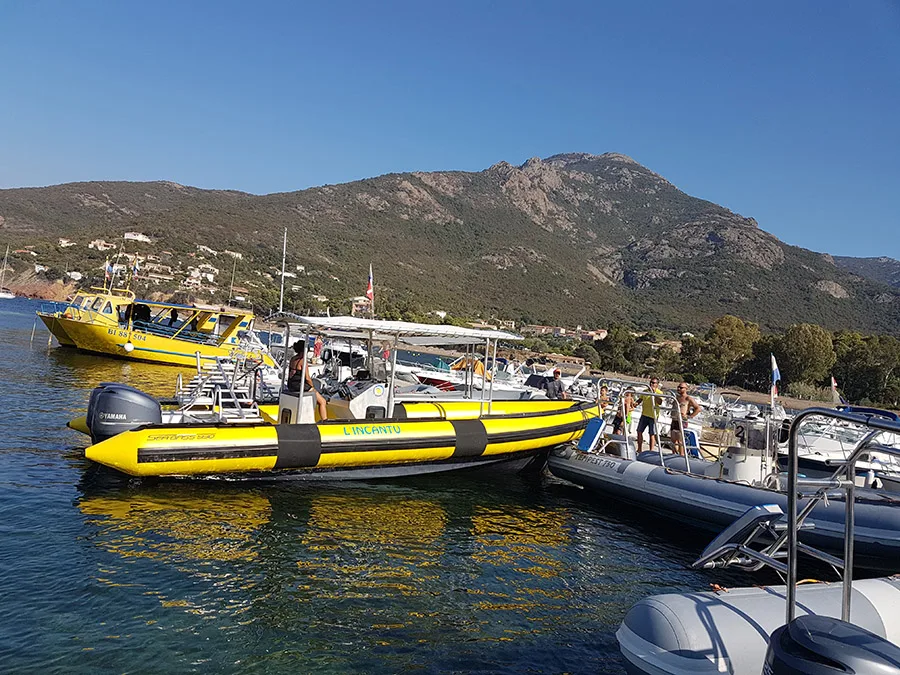Plusieurs bateaux de plongée amarrés dans une crique ensoleillée avec des montagnes