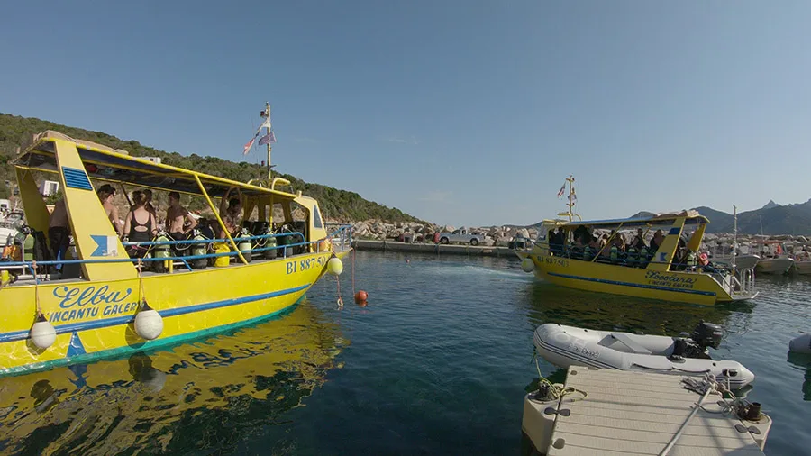 Deux bateaux de plongée jaunes amarrés dans un port ensoleillé