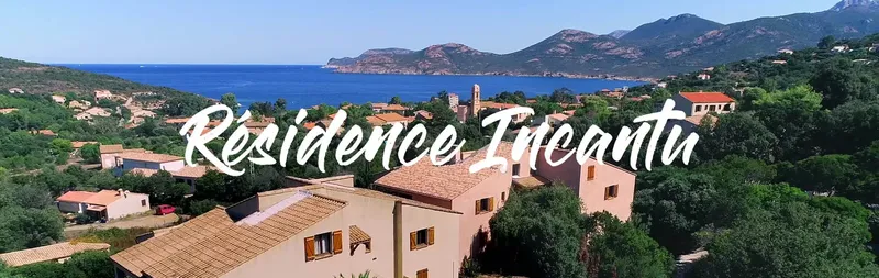 Vue aérienne d'un village côtier avec des bâtiments et la mer