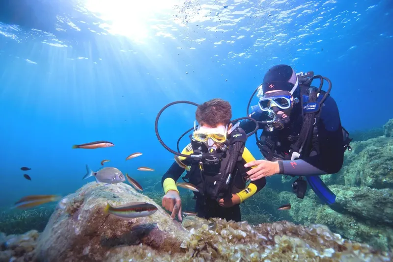 Deux plongeurs explorent un récif rocheux avec des poissons colorés