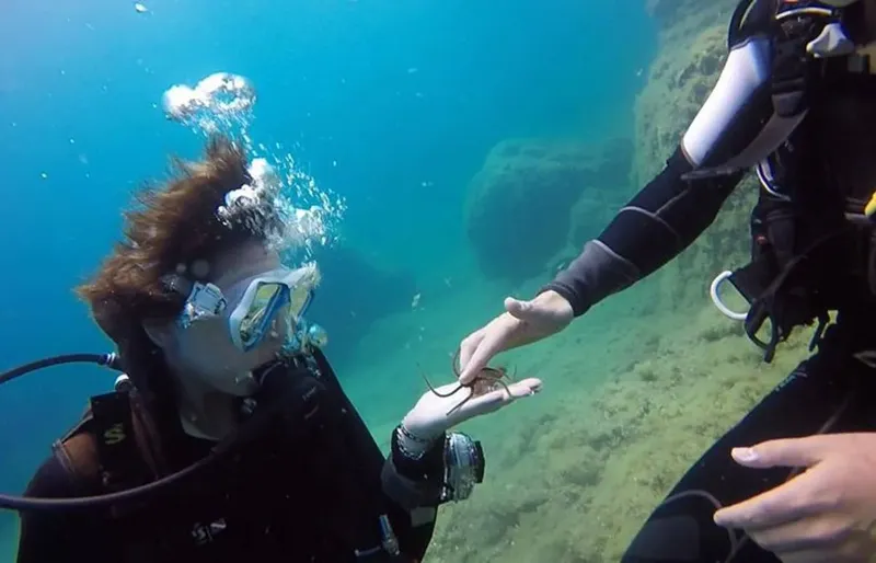 Deux plongeurs observent un petit poisson dans l'eau
