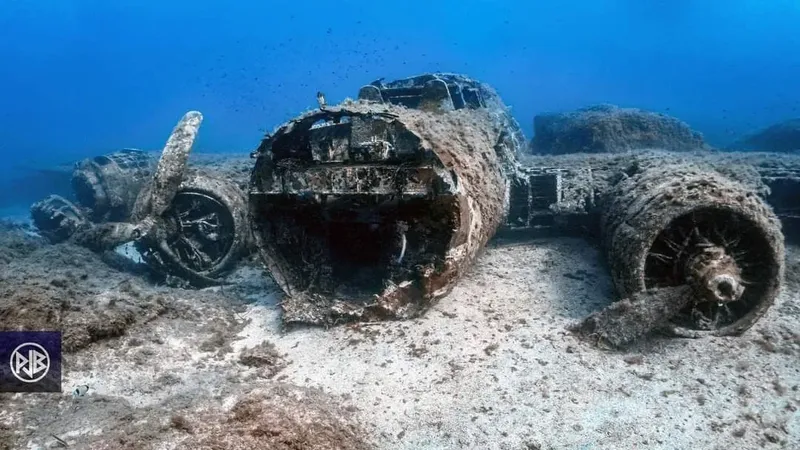 Epave d'avion coulee sous l'eau, sable et vie marine