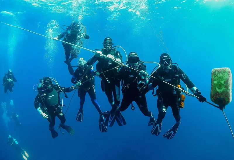 Groupe de plongeurs en combinaison noire explorant les fonds marins bleus