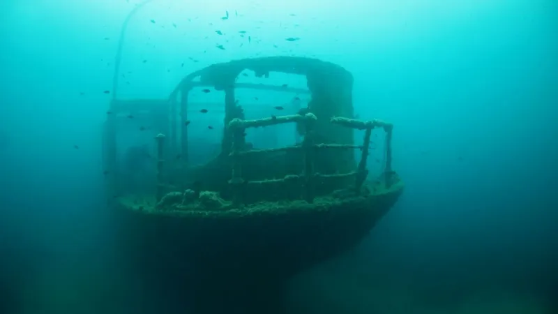 Épave de bateau colonisée par la vie marine en milieu aquatique