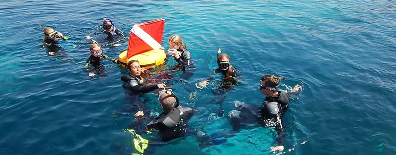Groupe de plongeurs en formation, flottant près d'un balisage rouge et blanc