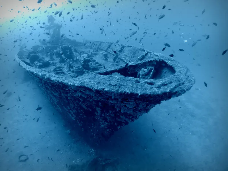 Épave de bateau colonisée par la vie marine, vue sous-marine