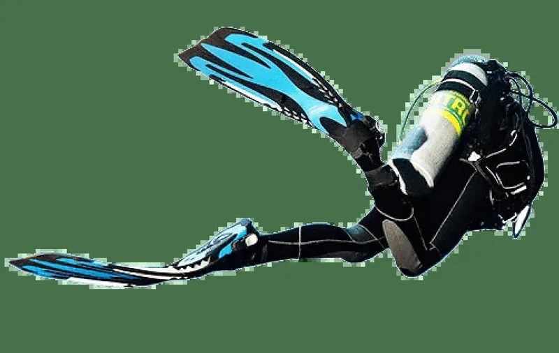 Plongeur en combinaison noire avec palmes bleues, vue sous-marine