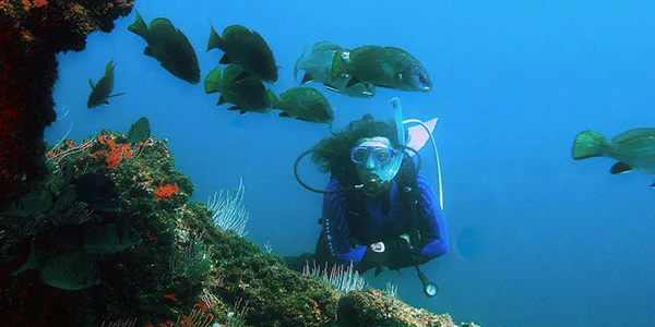Plongeuse entourée de poissons tropicaux dans un récif corallien bleu
