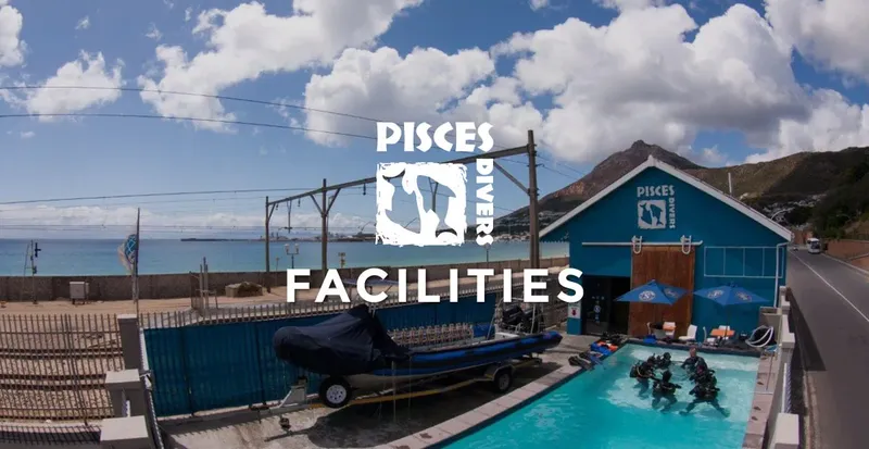 Bâtiment bleu, piscine, bateau sur remorque, plongeurs en formation