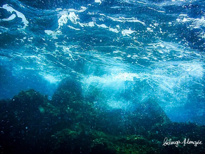 Vue sous-marine avec lumière filtrant à travers la surface de l'eau
