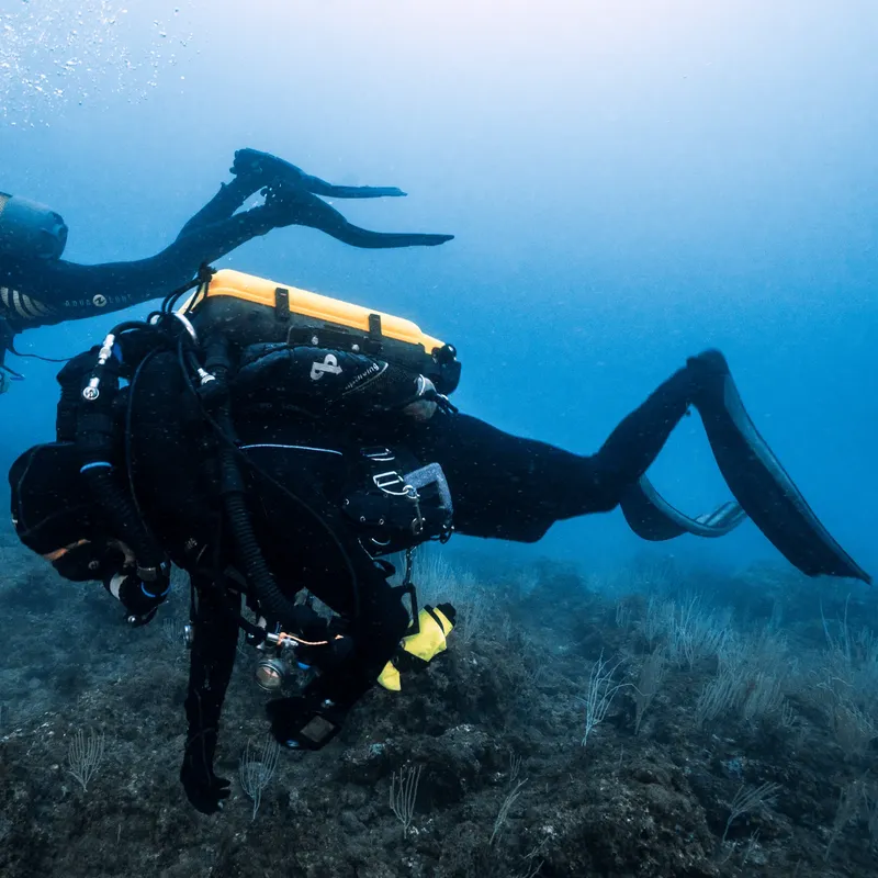 Plongeur en combinaison noire nageant dans une eau bleue claire