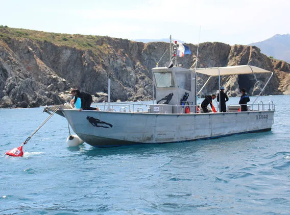 Bateau de plongée avec des personnes à bord, côte rocheuse en arrière-plan