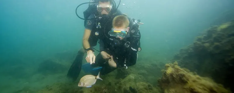 Deux plongeurs interagissent avec un poisson dans une eau turquoise