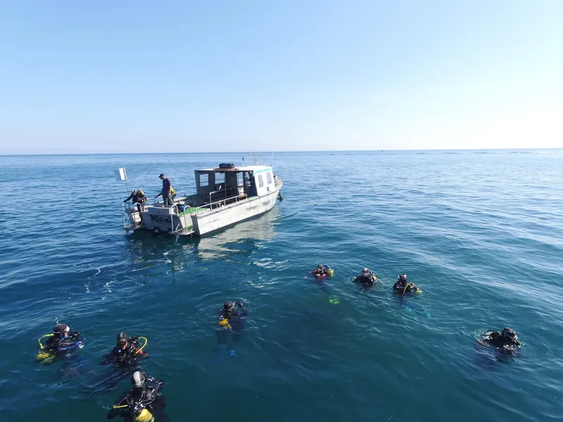 Plongeurs en surface près d'un bateau, ciel bleu et mer calme