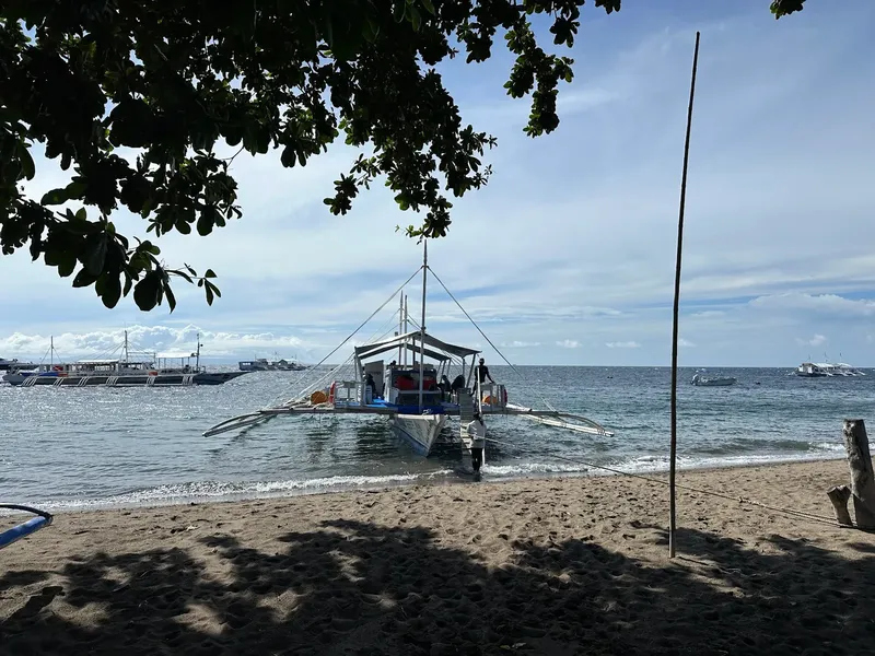 Plage avec plusieurs bateaux traditionnels amarrés près du rivage