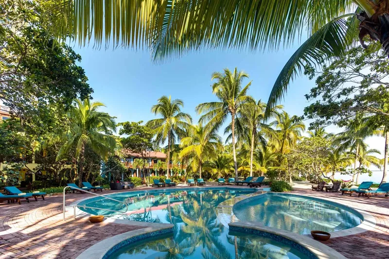 Piscine tropicale avec palmiers et bâtiments colorés en arrière-plan