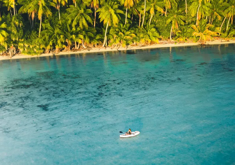 Kayak sur une eau turquoise, bordée d'une plage et de palmiers