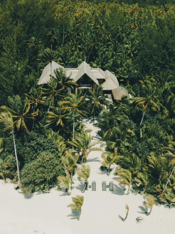 Bâtiment avec toit de chaume entouré de végétation tropicale luxuriante