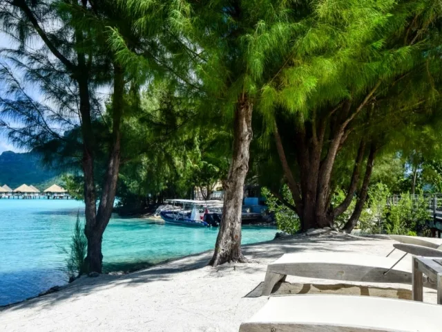 Plage de sable blanc, bateaux amarrés dans une eau turquoise et végétation