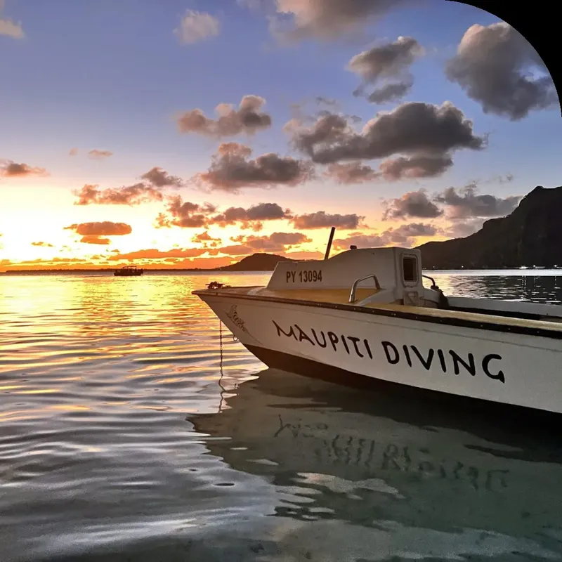 Bateau de plongée amarré sur une eau calme au coucher du soleil