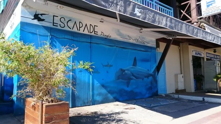 Façade d'un centre de plongée avec une fresque de requins marteaux