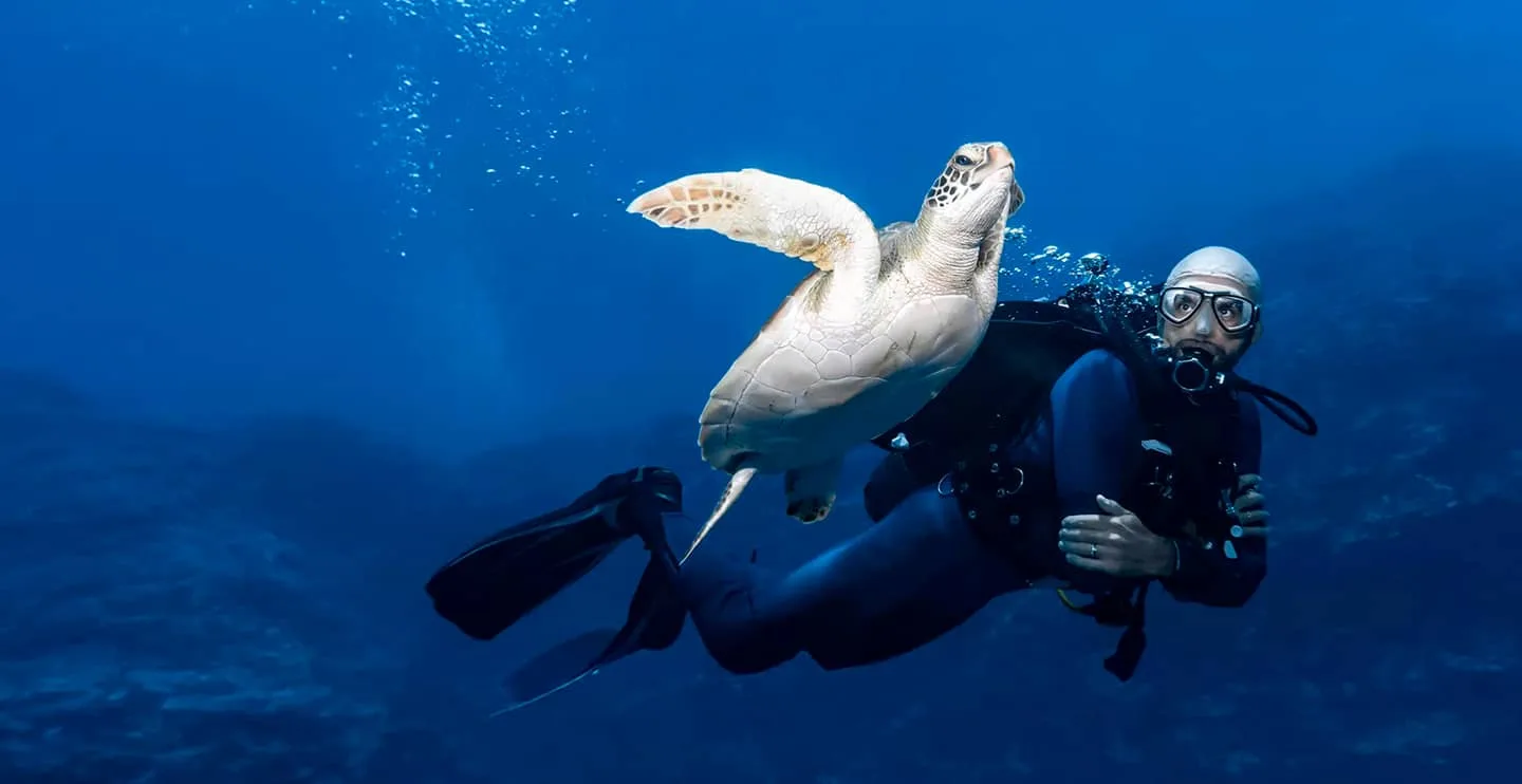 Plongeur et tortue marine nagent ensemble dans l'eau bleue