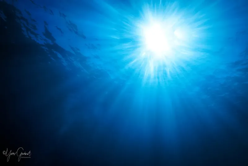 Rayons de soleil perçant la surface de l'eau en plongée sous-marine
