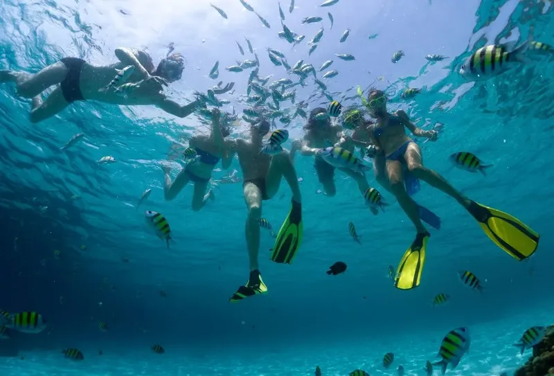 Groupe de personnes en snorkeling, entourées de poissons tropicaux bleus et jaunes