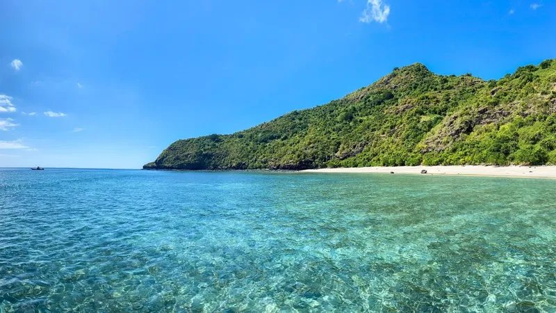 Cote rocheuse couverte de vegetation, plage de sable et mer turquoise