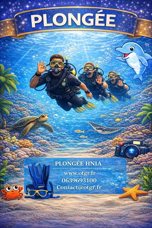 Plongeurs explorent un récif corallien coloré avec faune marine