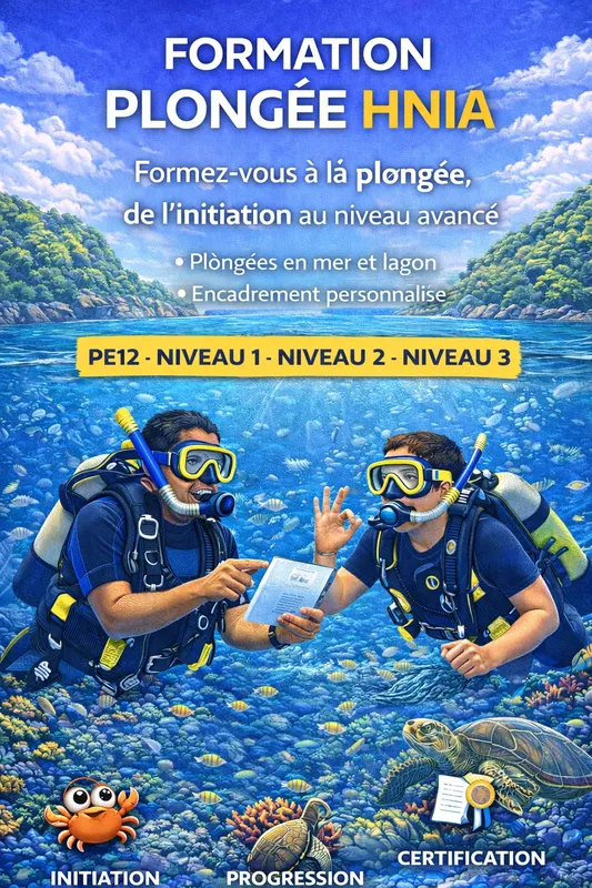 Deux plongeurs échangent un document au milieu d'un récif corallien