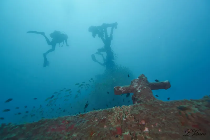 Deux plongeurs explorent une épave sous-marine avec des poissons