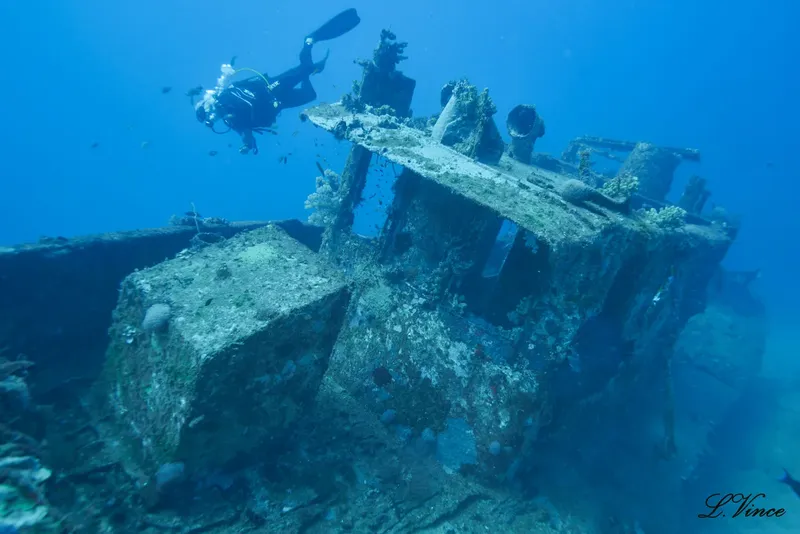 Plongeur explorant l'épave d'un navire colonisé par la vie marine